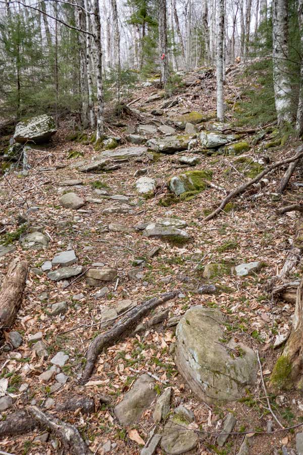 heading straight back uphill on the Devil's Path 