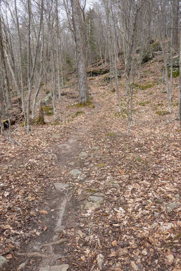 The devil's Path starts to decline in elevation 