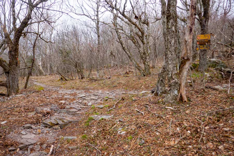 trail junction onto the Hunter Mountain Trail