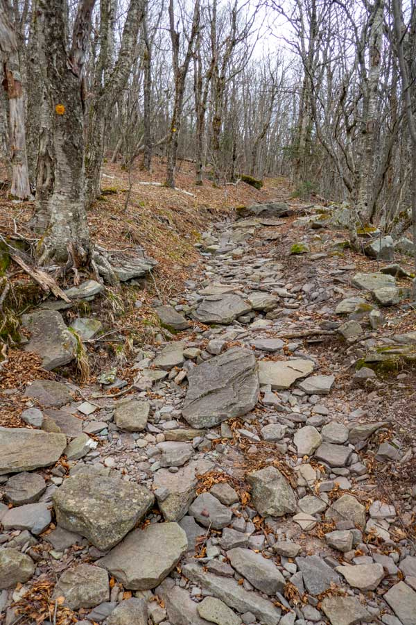 Hunter Mountain Trail is rocky on the lower half