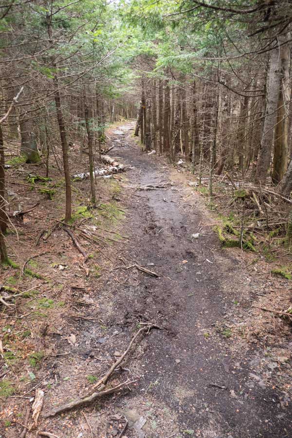 Hunter Mountain Trail turns to mud after a sharp left turn