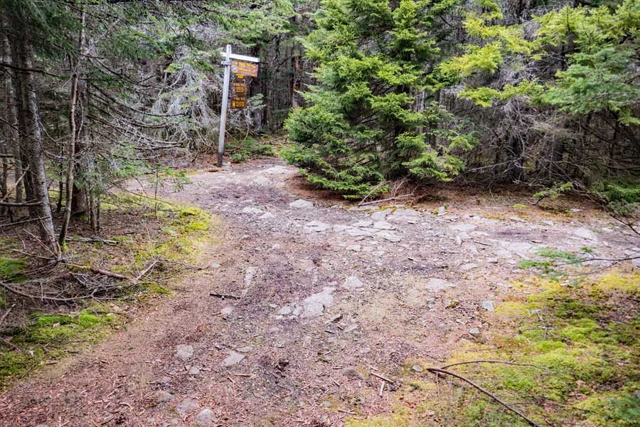 trail junction with Hunter Mountain, becker hollow Trail, and Spruceton Lookout