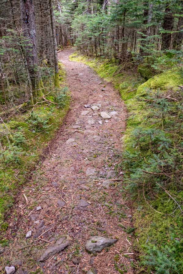 The Spruceton Trail to the summit Hunter Mountain