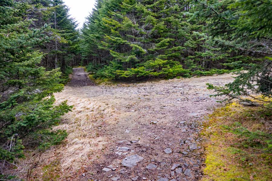 trail junction near the summit of Hunter Mountain