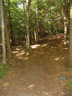trail junction for kaaterskill laundry house and scutt road parking area