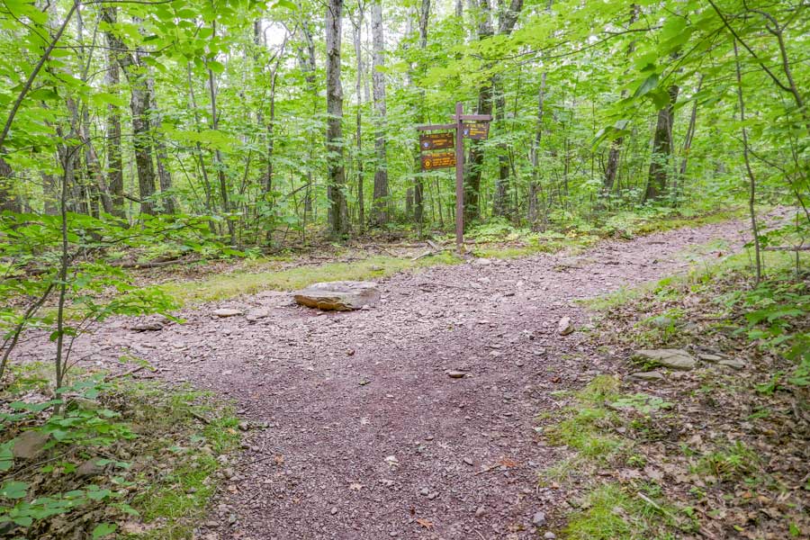 Trail Junction to Kaaterskill Hotel on the Escarpment Trail in the Catskill mountains