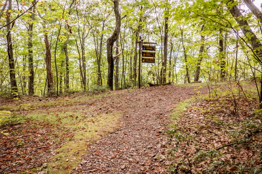 Trail Junction to horse trail and harding trail on the Escarpment Trail in the Catskill mountains