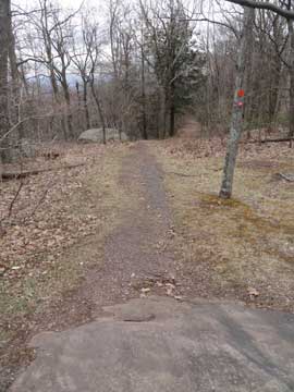 beginning of the sleepy hollow trail and the escarpment trail