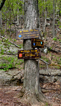 trail junction to North Point Lookout #1