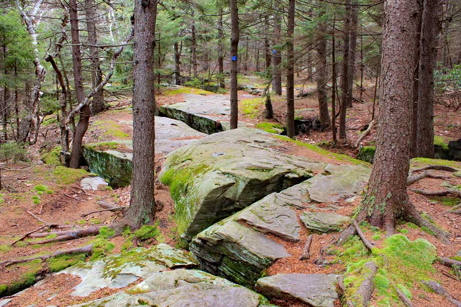 trail to newman's ledge around north-south lake in catskill mountains