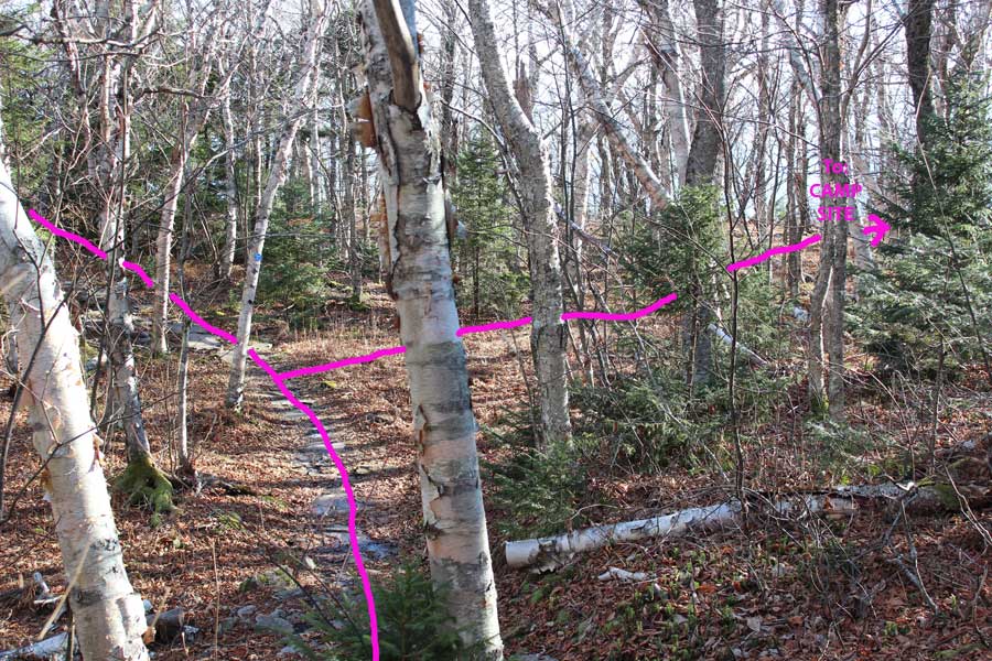 to hidden campsite on North Mountain