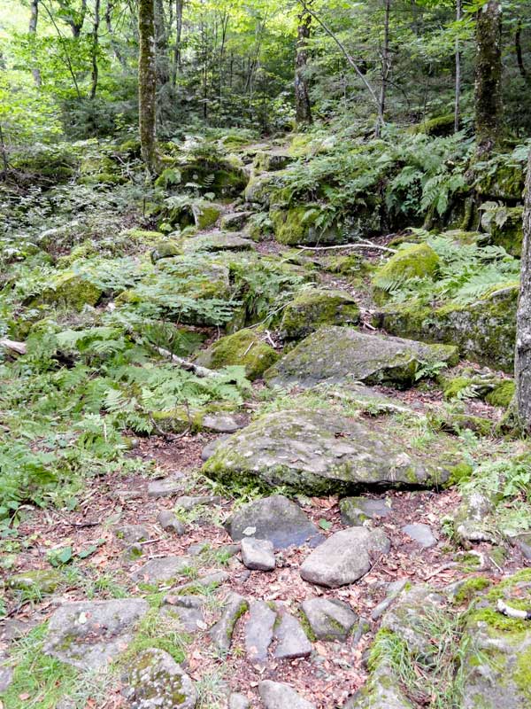 beginning of the eastern escarpment at dutchers notch and colgate carriage road to stoppel point