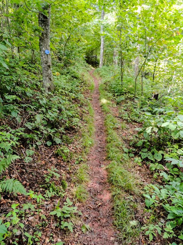eastern escarpment from dutchers notch and stoppel point
