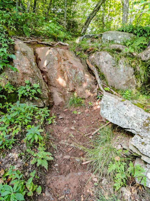 eastern escarpment from dutchers notch and stoppel point