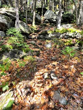 steep trail down into Dutcher's Notch from Arizona Mountain in the Catskill Mountains