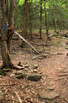 upper entrance to Fun Loops on the trail to  Windham High Peak