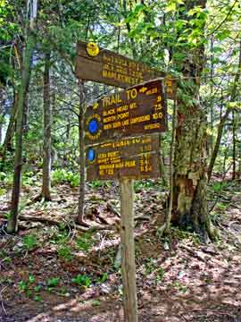 Trail Junction to Blackhead Mountain and Batavia Kill Lean-to