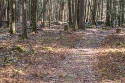 israel-wittman-sanctuary trail system