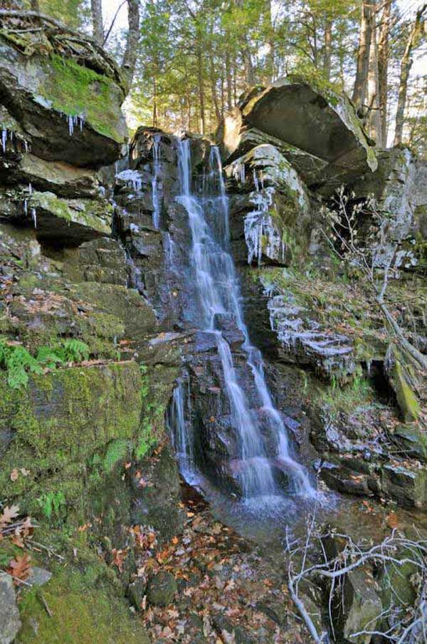 viola waterfall