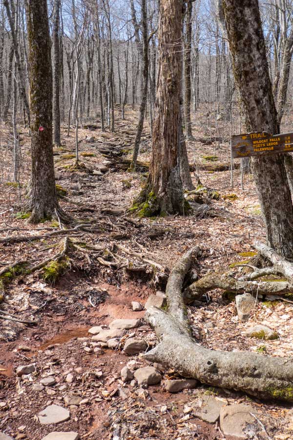 wet part of the trail to Kaaterskill High Peak