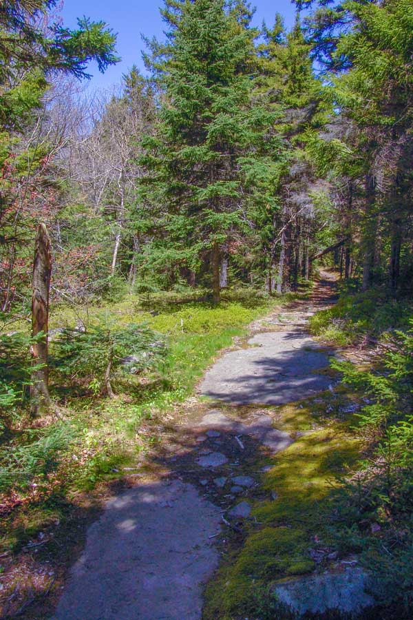 Long Path at top of Kaaterskill Amphitheatre