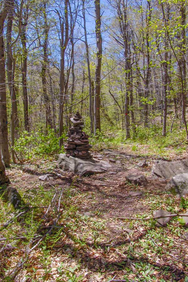 Trail Junction with the Kaaterskill Trail and the Southern Access Route to Hurricane Ledge and Kaaterskill High Peak