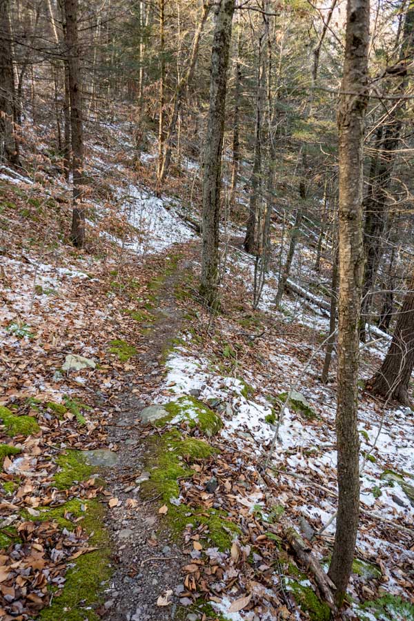 Warner Creek Trail near the crossing of Warner Creek