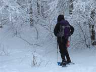how to safely do winter hiking and survival