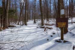Woodchuck hollow trail in Pine Hill