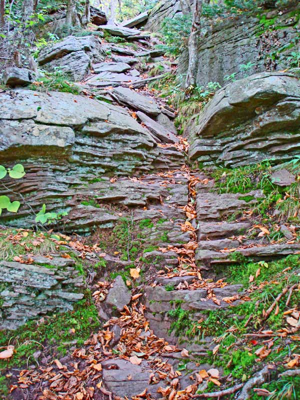 trail between giant ledge and panther mountain 