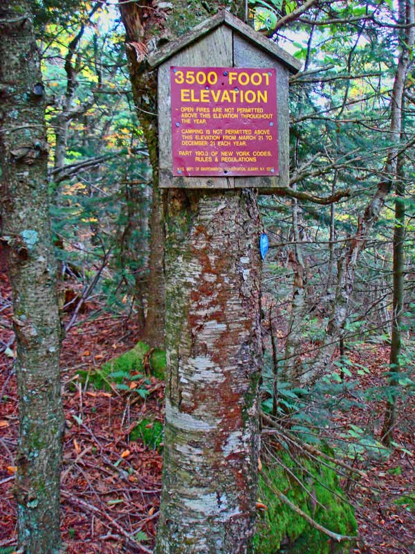 3500 elevation sign on panther mountain 